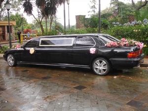 Wedding Limo - Car Hire in Yaoundé, Cameroon